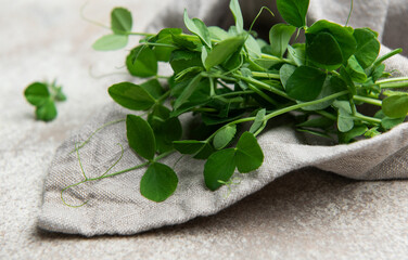 Fresh pea shoots resting on linen cloth, healthy microgreens for culinary delights