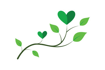 Obraz premium green leaves isolated on white background
