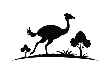 Fototapeta premium vector illustration of an ostrich