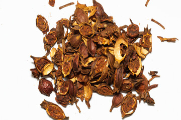 Dried cuts Gardenia  (Gardenia jasminoides) fruits in white background
