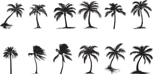 Tropical Palm Tree Arched Over Water A curved trunk extending across a serene lake, with lush fronds draping above. Full-length silhouette black vector design.