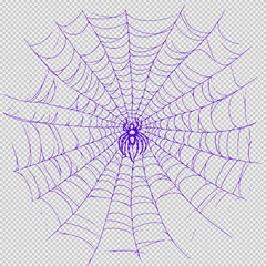 Obraz premium Minimalist spider web illustration in black and white with crisp lines and a wide-angle view, isolated on a clean white background, ideal for design elements, clip art, or creative projects.