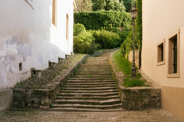Serene cobblestone street leads up a lush, green hillside, surrounded by charming buildings. The inviting pathway evokes a sense of peaceful exploration and beauty.