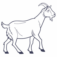Fototapeta premium Outline of a walking goat in a side view illustration 