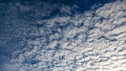 Fototapeta premium A sky filled with altocumulus clouds forming a textured, wavy pattern over a clear blue background.