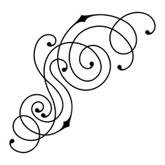 Line curl element. Modern decorative linear vignette.