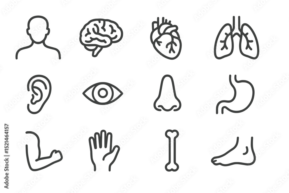 Poster human anatomy symbols showing various organs and body parts in a simple outline style