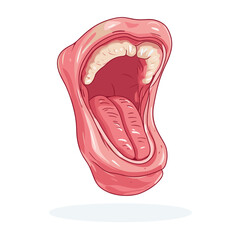 Open Mouth with Pink Lips Teeth and Tongue in Detailed Illustration Expressing Speech and Sound Vocal Organ Against White Background