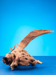 A close-up view of intricately shaped natural driftwood, designed to enhance the aesthetic of aquariums or terrariums, showcased against a striking purple backdrop.