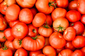 A vibrant close-up, top-down view of a bountiful pile of fresh, ripe red tomatoes. Their smooth skins and varied sizes create a rich texture, hinting at their juiciness and readiness for culinary use.
