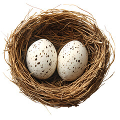 Obraz premium A serene depiction of a bird's nest containing two speckled eggs, symbolizing nature and new beginnings.