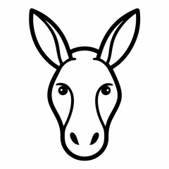 white rabbit on white background