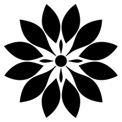 black and yellow flower