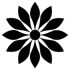 black and white flowers