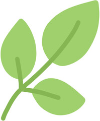 green leaf isolated on white background