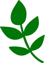 green leaf isolated on white background