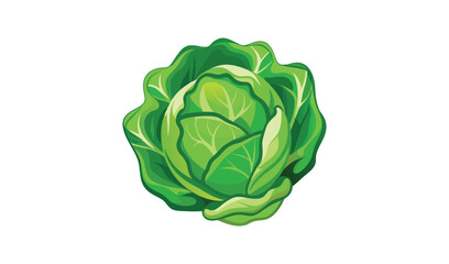 Obraz premium Fresh green cabbage isolated on white background