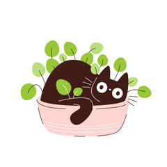 Funny black cat hiding in a flower pot. Pets and potted plants in pots