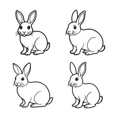 Fototapeta premium adorable rabbit vector