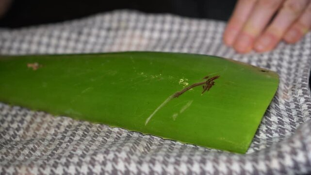 Aloe Vera leaf on black background. Cutting into smaller pieces, peeling skin, and removing fresh gel. Natural skincare process with herbal, healing plant. DIY organic beauty concept.