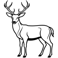 Fototapeta premium Deer vector silhouette illustration of a wild antlered mammal