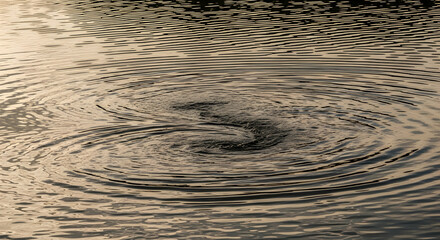 Golden Water Ripple Texture Creates an Abstract Circle Motion Effect
