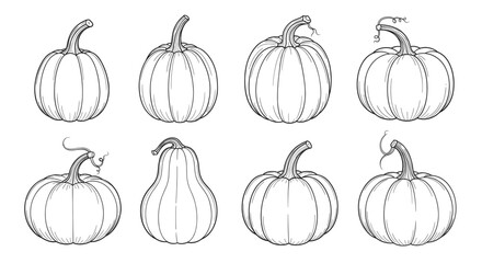 Collection of Hand-Drawn Pumpkins in Various Shapes and Sizes on Transparent Background