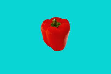 Vibrant Red Bell Pepper Isolated on Aqua Background With Contrasting Colors