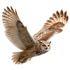 Eurasian eagle owl in flight with wings fully spread on transparent background


