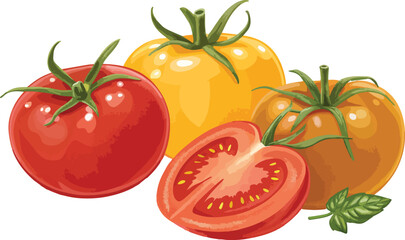 Red Tomato Vector Illustration on White Background