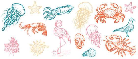 Marine animals - jellyfish, crab, lobster, seagull, squid, shrimp, starfish, coral in black brush stroke texture isolated on white. Hand drawn vector sketch illustration in vintage charcoal ink.