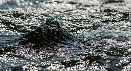 Backlit Wave Cresting And Reflecting Sunlight Sparkling On Surface