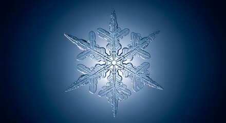 Detailed Ice Crystal Isolated Against a Cold Blue Gradient Background