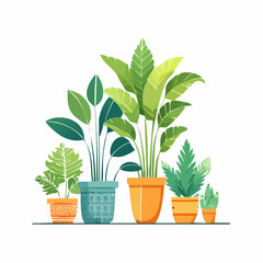 Decorative green houseplants in pots and planters, natural home decor and urban jungle