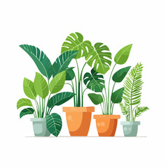 Decorative green houseplants in pots and planters, natural home decor and urban jungle
