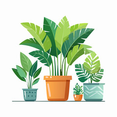 Decorative green houseplants in pots and planters, natural home decor and urban jungle