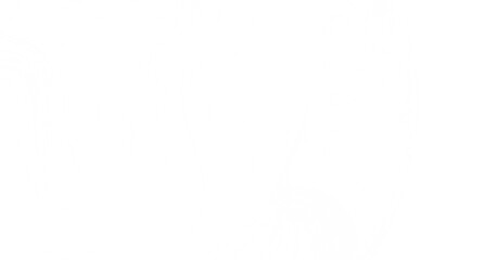 Clean, simple white texture. Perfect for backgrounds, overlays, and more.