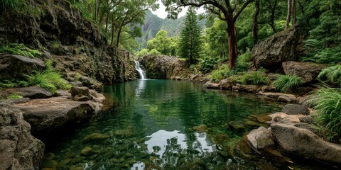 Serene natural pool surrounded by lush greenery and a gentle waterfall in a peaceful mountain setting