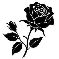 An isolated black and white rose vector illustration, featuring a detailed floral design and elegant petals