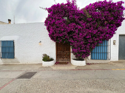 Casa Blanca con flores en la entrada. Mediterr&aacute;neo. Corazon de buganvillas.