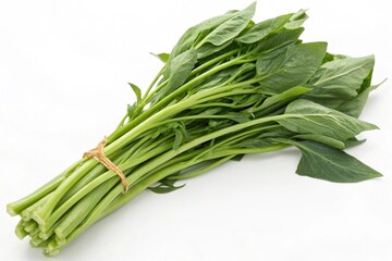  kangkong water spinach isolated on white background