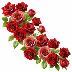 Elegant arrangement of red and blush roses with green leaves on white background