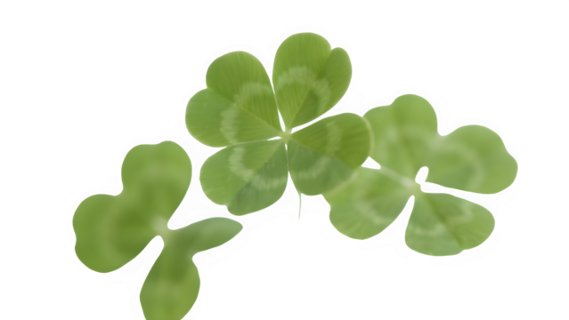 green leaf clover