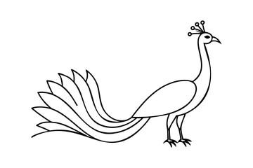Elegant line drawing of a peacock bird