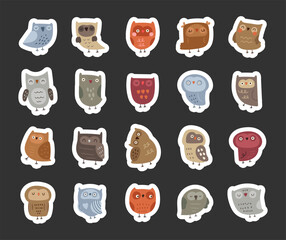 Owl character scandinavian style set created for cute woodland bird designs with feathers, wings, beak and cozy animal illustrations in kids themed projects