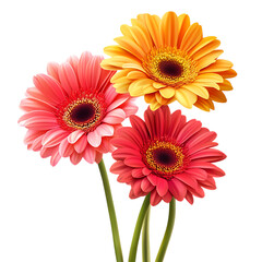  realistic arrangement 