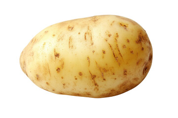 Potato Tuber Close-up: A single, unpeeled potato, showcasing its pale yellow skin and earthy texture, sits against a pure white background.