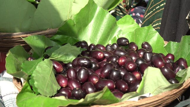Java plum, Indian blackberry at Mumbai street marketplace 