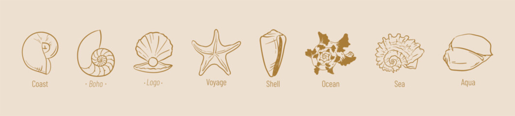 Boho sea shell logo collection. Hand drawn line illustration pastel color for print, menu. Summer beach ink doodle elements. Vector coastal marine icons. Clam, conch, cockle, scallop shells, seahorse.