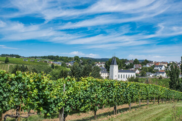 View over the vineyards to Johannisberg with the former monastery
